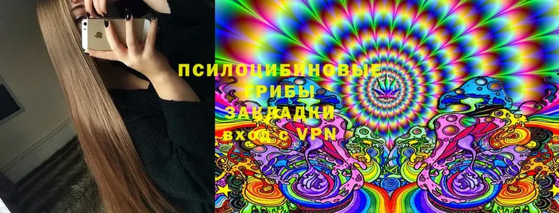 Псилоцибиновые грибы MAGIC MUSHROOMS  Малая Вишера 